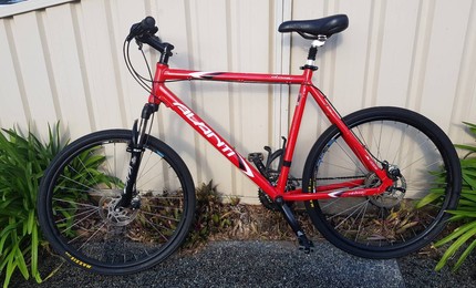 avanti atomic mountain bike